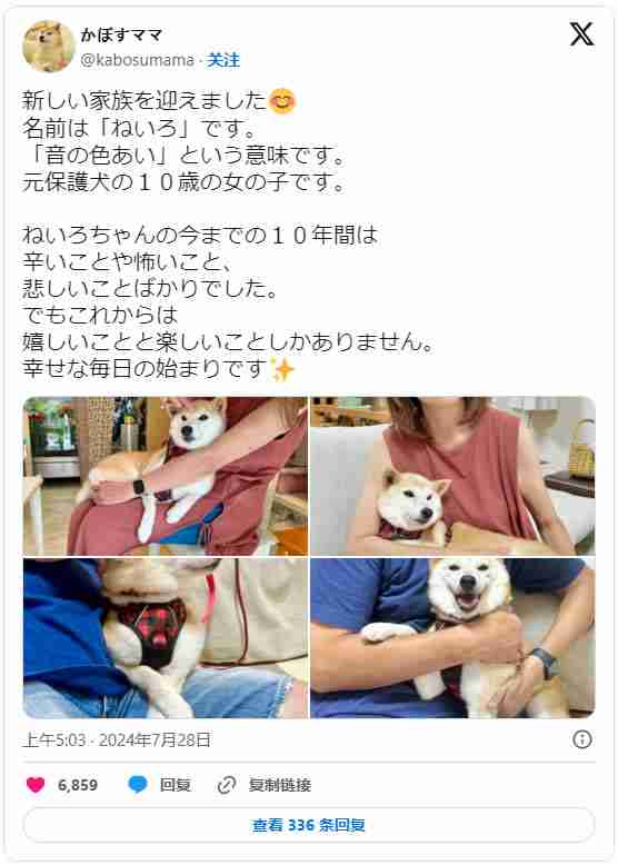 Neiro Ethereum(NEIRO)币是什么？NEIRO会成为下一个狗狗币吗？